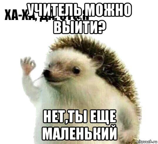 учитель можно выйти? нет,ты еще маленький, Мем Ха-ха да это я