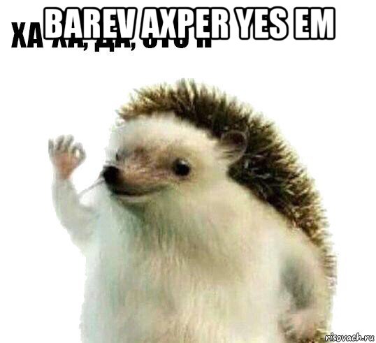 barev axper yes em 