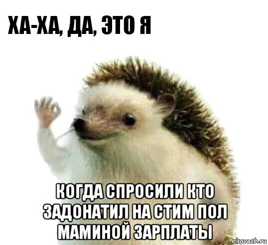  когда спросили кто задонатил на стим пол маминой зарплаты, Мем Ха-ха да это я