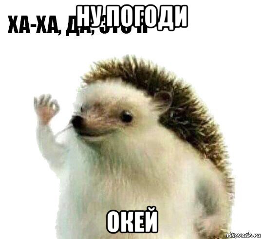 ну погоди окей, Мем Ха-ха да это я