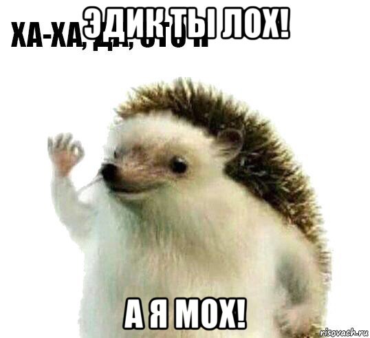 эдик ты лох! а я мох!