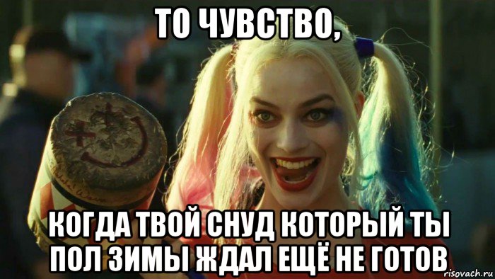 то чувство, когда твой снуд который ты пол зимы ждал ещё не готов, Мем    Harley quinn