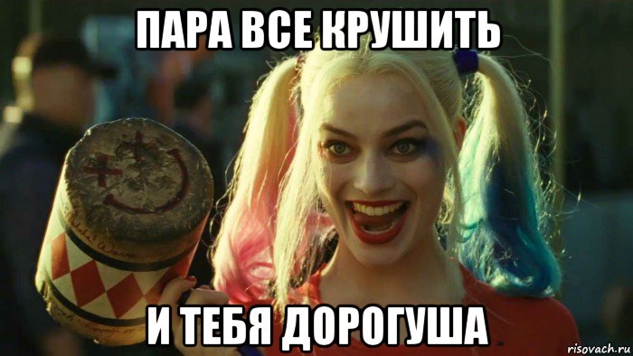 пара все крушить и тебя дорогуша, Мем    Harley quinn