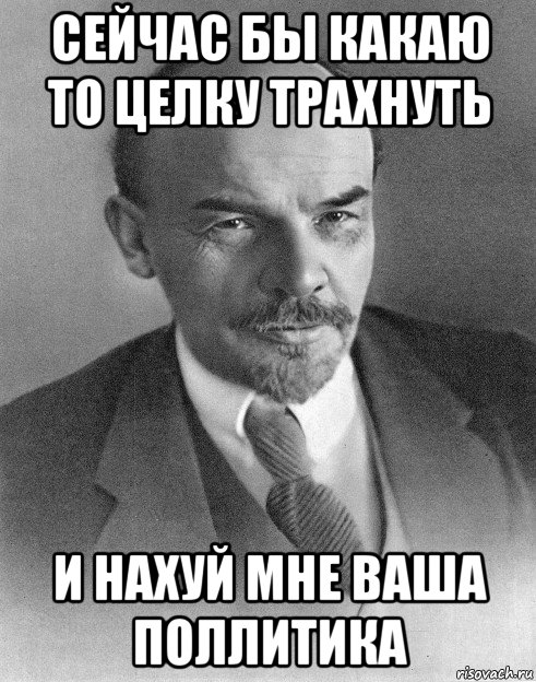 сейчас бы какаю то целку трахнуть и нахуй мне ваша поллитика, Мем хитрый ленин