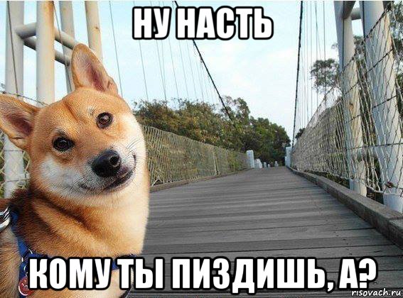 ну насть кому ты пиздишь, а?, Мем Хуйня