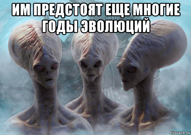 им предстоят еще многие годы эволюций 