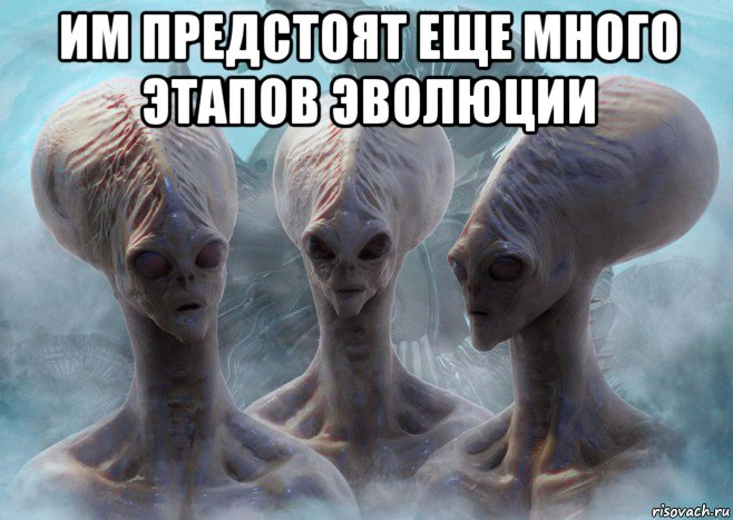 им предстоят еще много этапов эволюции 