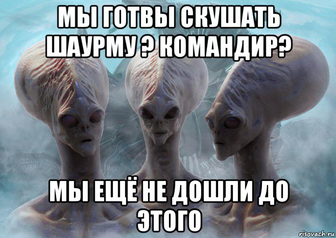 мы готвы скушать шаурму ? командир? мы ещё не дошли до этого