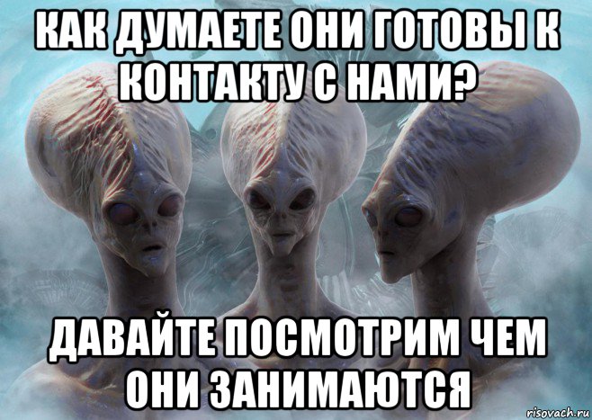 как думаете они готовы к контакту с нами? давайте посмотрим чем они занимаются