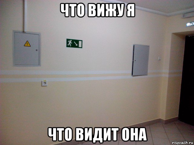 что вижу я что видит она, Мем Как вижу я и как видят другие