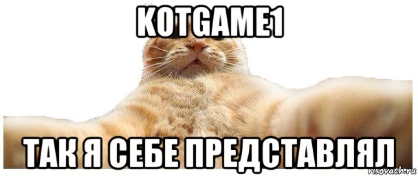 kotgame1 так я себе представлял, Мем   Кэтсвилл