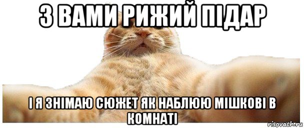 з вами рижий підар і я знімаю сюжет як наблюю мішкові в комнаті, Мем   Кэтсвилл