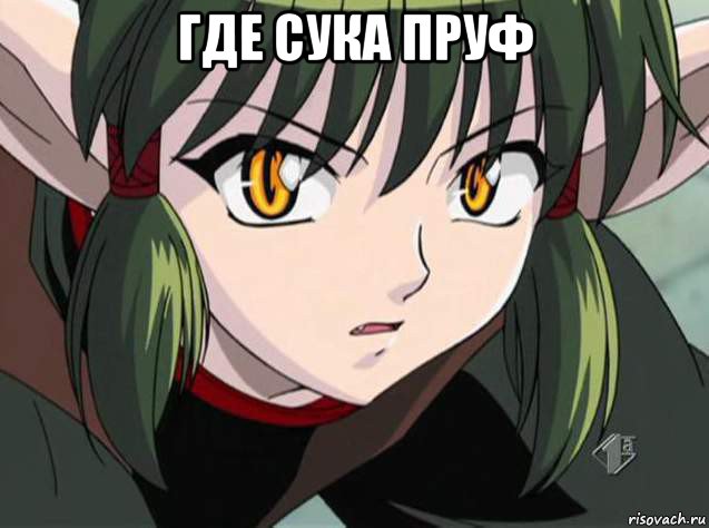где сука пруф , Мем Кишу зэ бэст