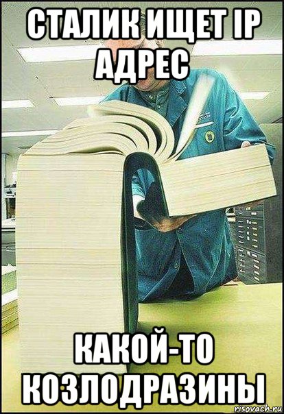 сталик ищет ip адрес какой-то козлодразины
