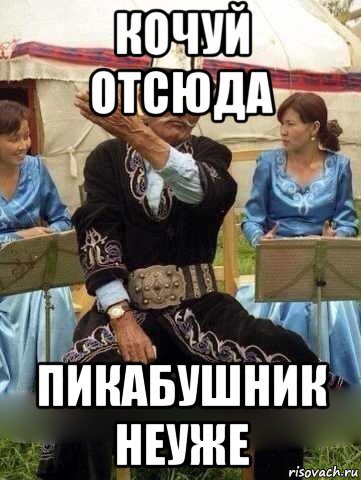 кочуй отсюда пикабушник неуже, Мем Кочуй отсюда