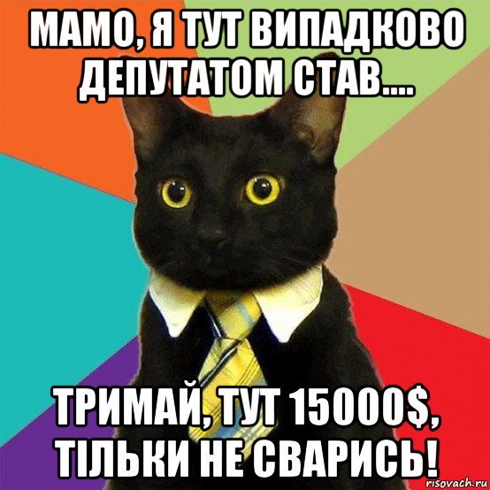 мамо, я тут випадково депутатом став.... тримай, тут 15000$, тільки не сварись!