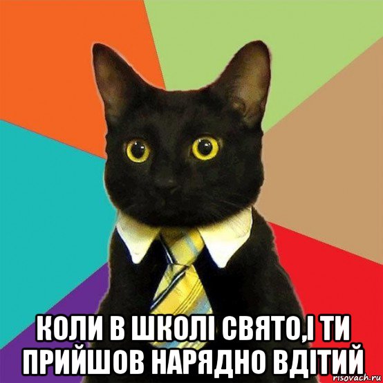  коли в школі свято,і ти прийшов нарядно вдітий, Мем  Кошечка