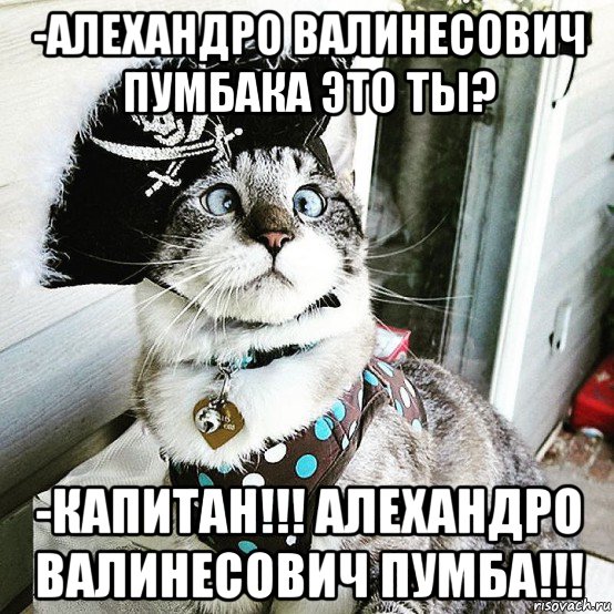 -алехандро валинесович пумбака это ты? -капитан!!! алехандро валинесович пумба!!!, Мем Косой кот