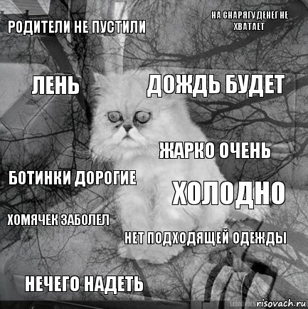 Родители не пустили холодно дождь будет нечего надеть ботинки дорогие на снарягу денег не хватает нет подходящей одежды лень хомячек заболел жарко очень, Комикс  кот безысходность