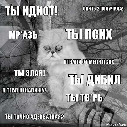 ты идиот! ты дибил ты псих ты точно адекватная? ты злая! опять 2 получила! ты тв*рь мр*азь я тебя ненавижу! отвали от меня псих, Комикс  кот безысходность