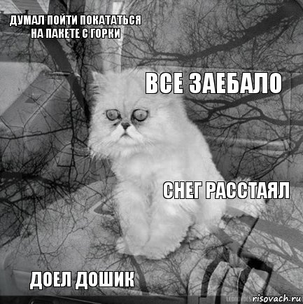 думал пойти покататься на пакете с горки снег расстаял все заебало доел дошик      , Комикс  кот безысходность