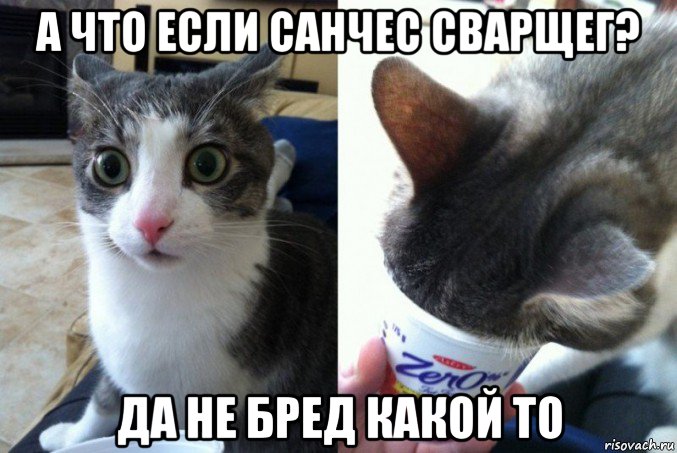 а что если санчес сварщег? да не бред какой то