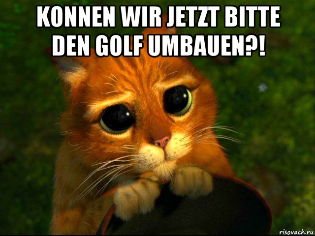 konnen wir jetzt bitte den golf umbauen?! , Мем кот из шрека