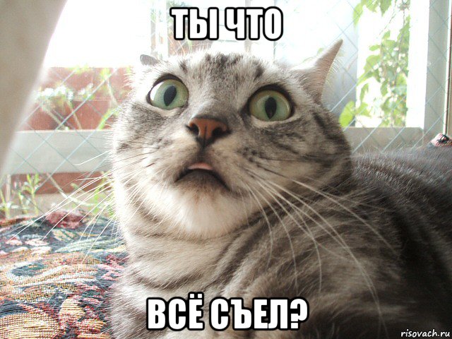 ты что всё съел?