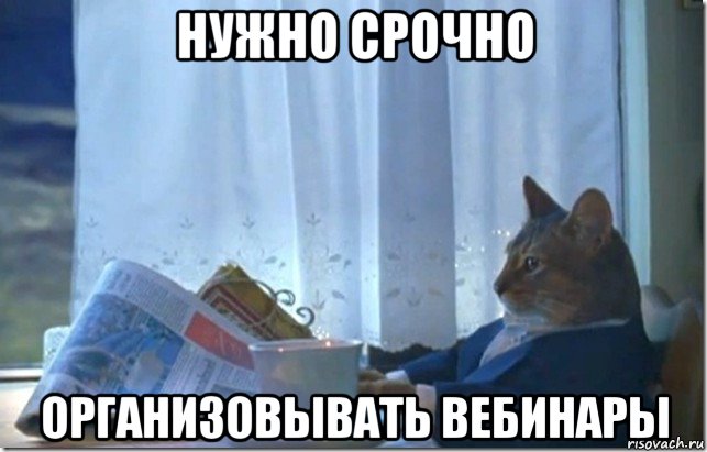 нужно срочно организовывать вебинары