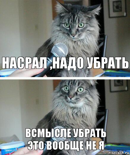 насрал ,надо убрать всмысле убрать
это вообще не я, Комикс  кот с микрофоном