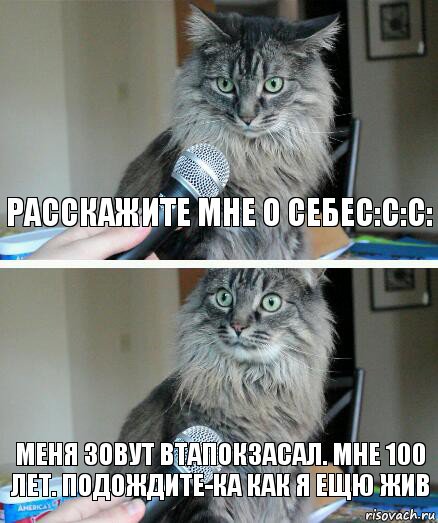 Расскажите мне о себеc:c:c: меня зовут Втапокзасал. Мне 100 лет. Подождите-ка как я ещю жив, Комикс  кот с микрофоном