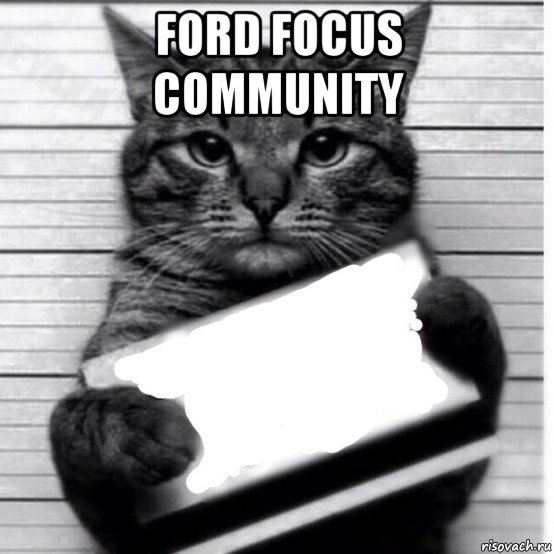 ford focus community , Мем Кот с табличкой