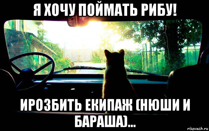 я хочу поймать рибу! ирозбить екипаж (нюши и бараша)...