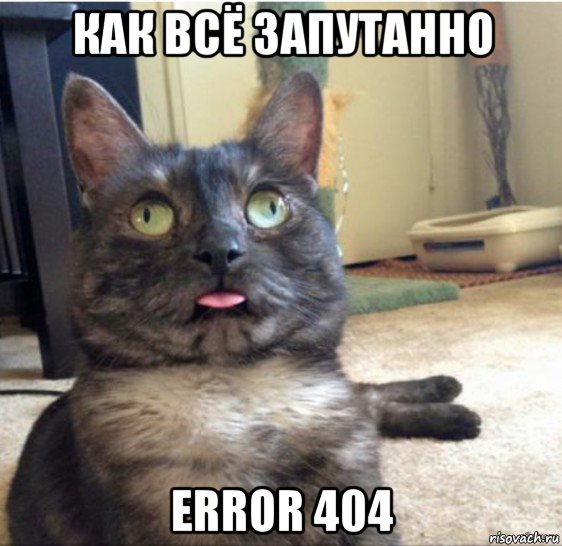 как всё запутанно error 404, Мем   Кот завис