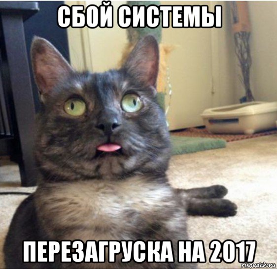 сбой системы перезагруска на 2017, Мем   Кот завис