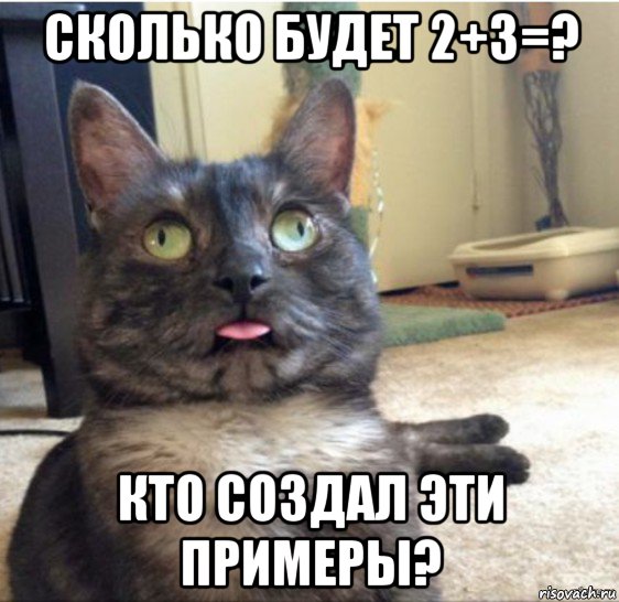 сколько будет 2+3=? кто создал эти примеры?, Мем   Кот завис