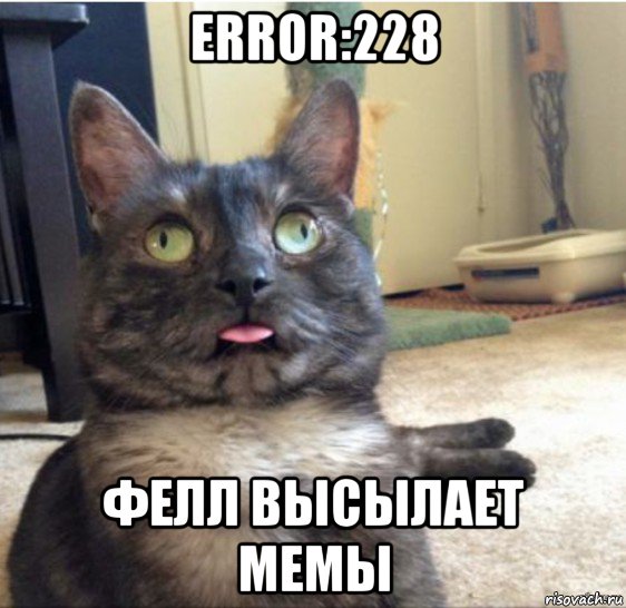 error:228 фелл высылает мемы, Мем   Кот завис