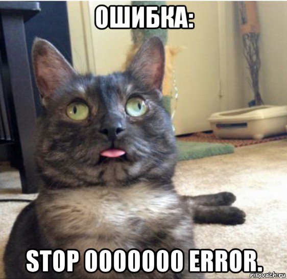 ошибка: stop 0000000 error., Мем   Кот завис