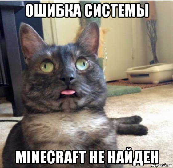 ошибка системы minecraft не найден, Мем   Кот завис