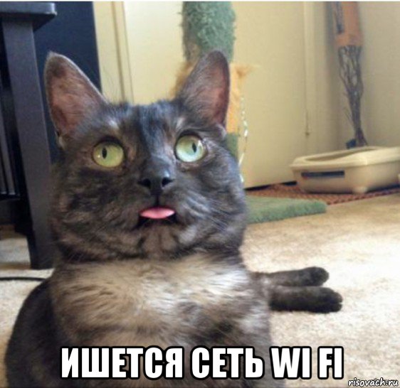  ишется сеть wi fi