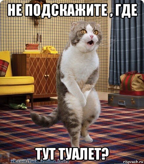 не подскажите , где тут туалет?