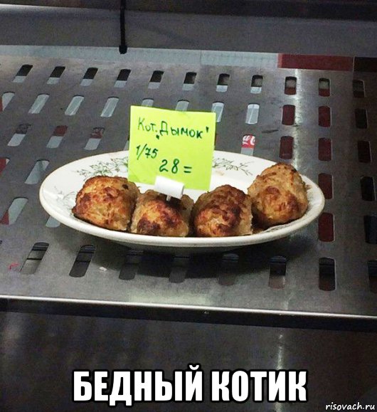  бедный котик
