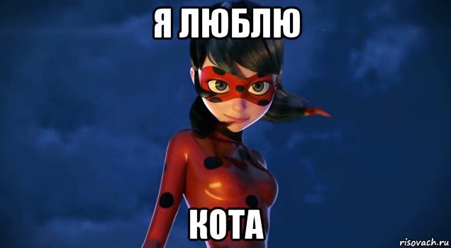 я люблю кота