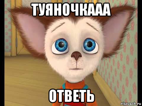 туяночкааа ответь