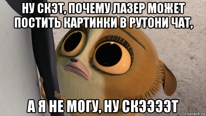 ну скэт, почему лазер может постить картинки в рутони чат, а я не могу, ну скээээт