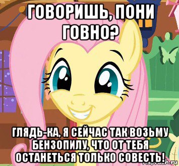 говоришь, пони говно? глядь-ка, я сейчас так возьму бензопилу, что от тебя останеться только совесть!