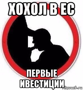 хохол в ес первые ивестиции