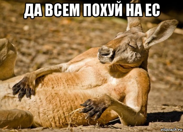 да всем похуй на ес , Мем МНЕ ПОХУЙ