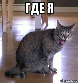 где я 