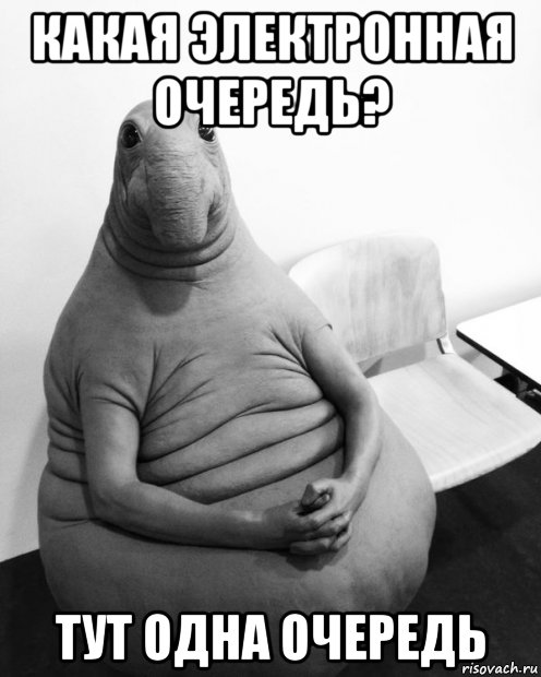 какая электронная очередь? тут одна очередь